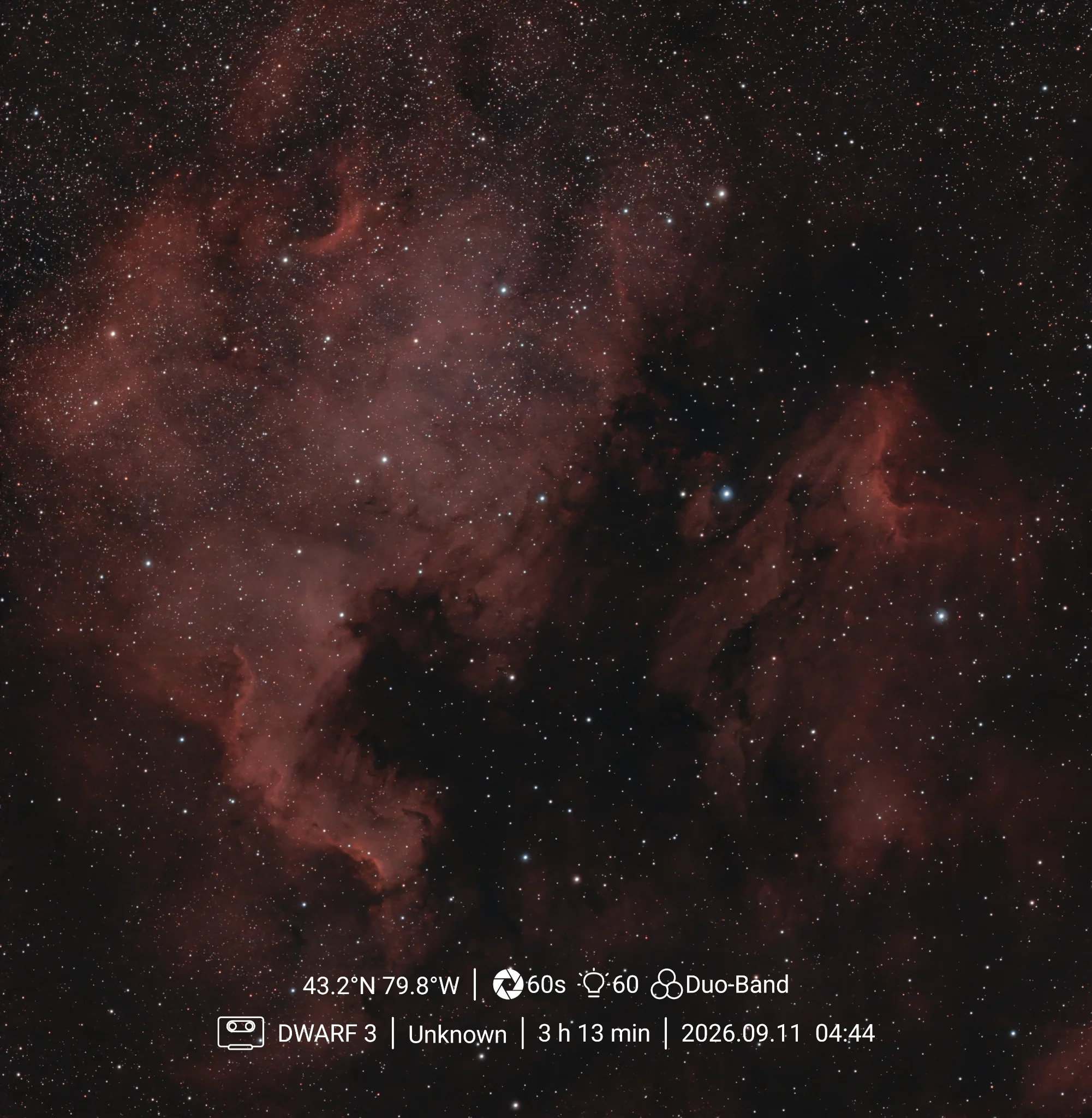 NGC 7000 & Pelican Nebula