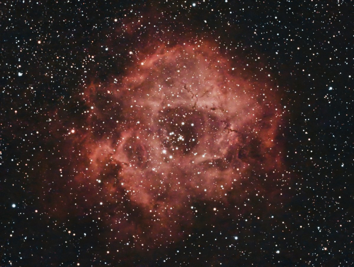 My best rosette