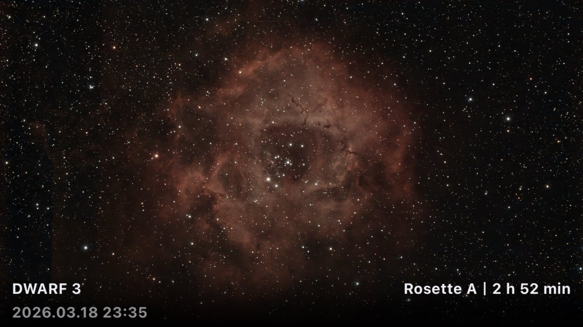 Rosette Nebula