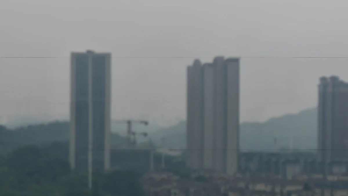 带份饭