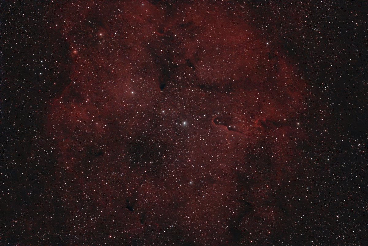 Elephant Nebula