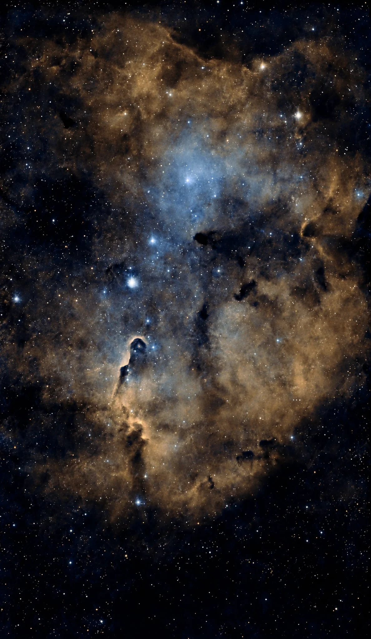Elephant Trunk Nebula