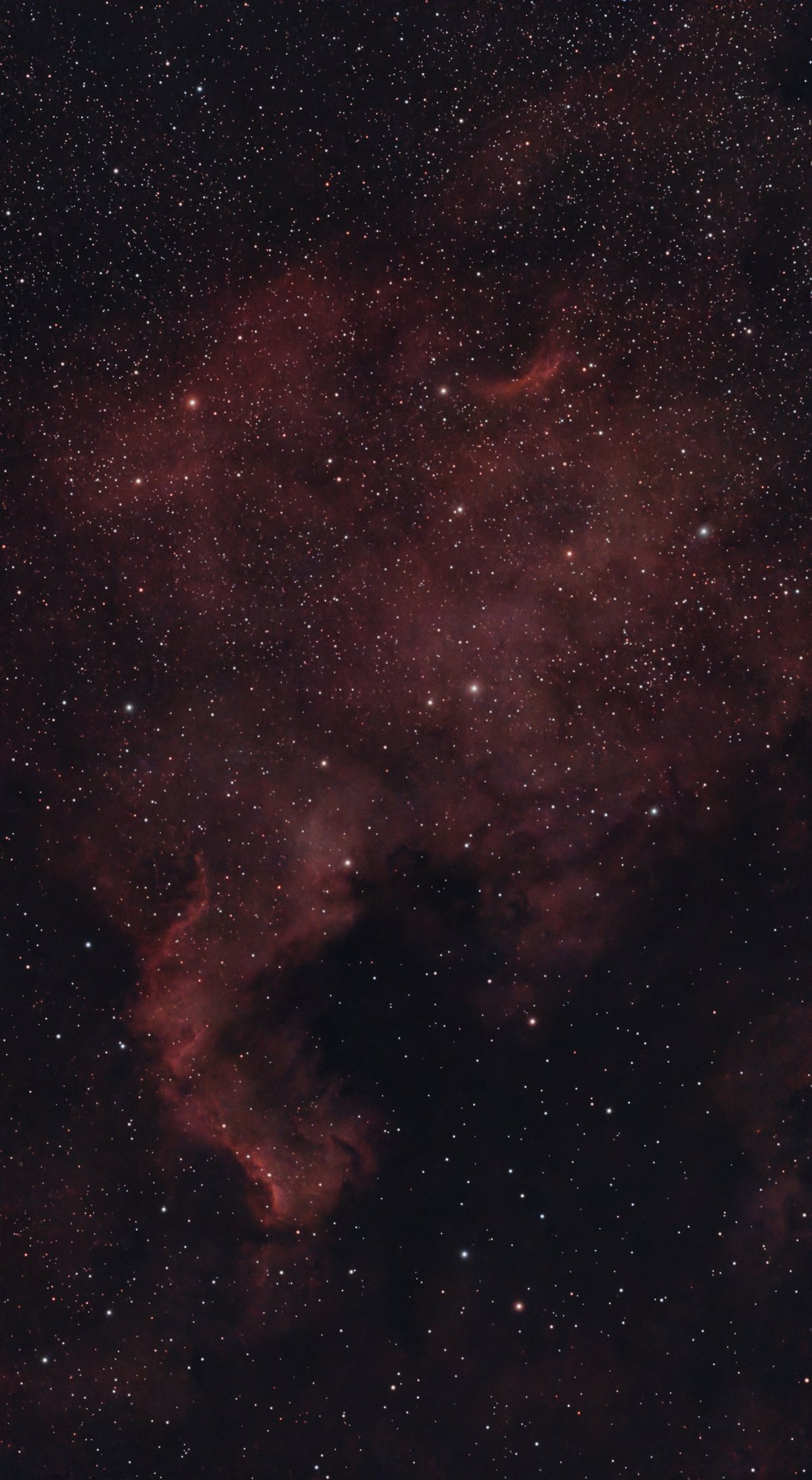 North America Nebula