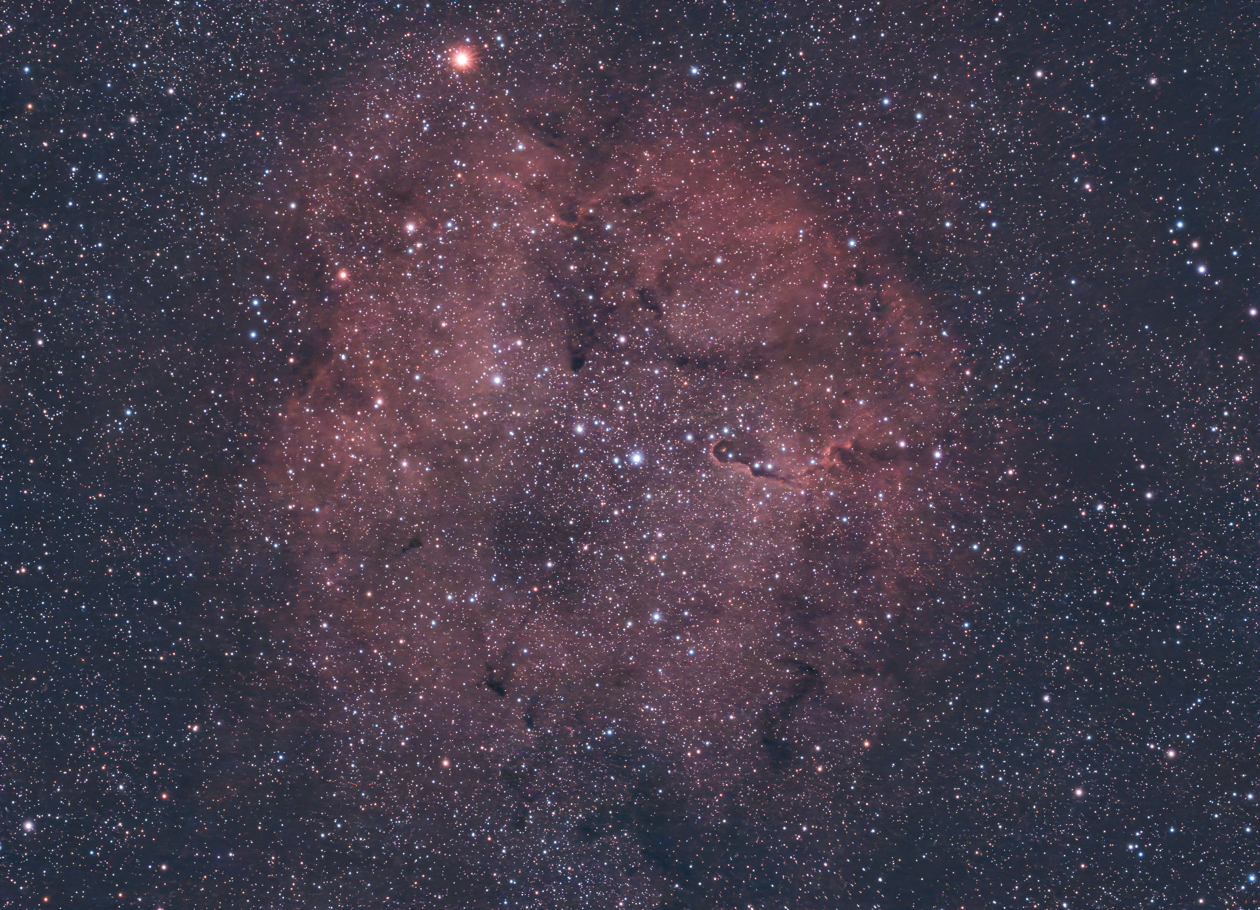 IC 1396 & Elefantenrüsselnebel