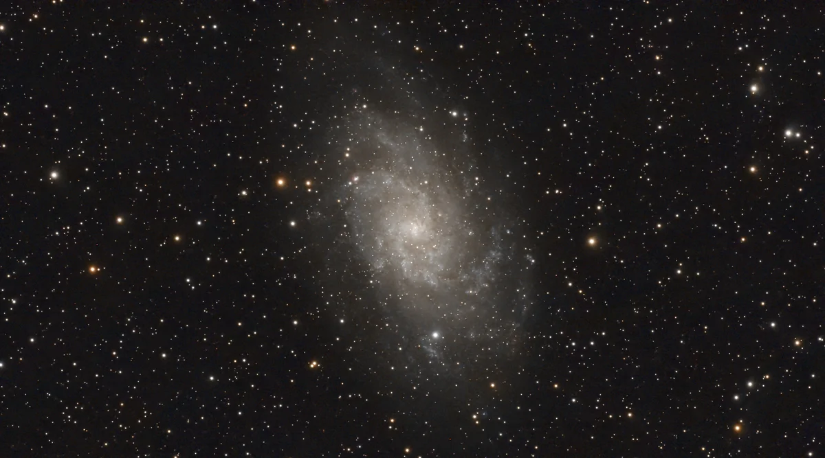 M 33