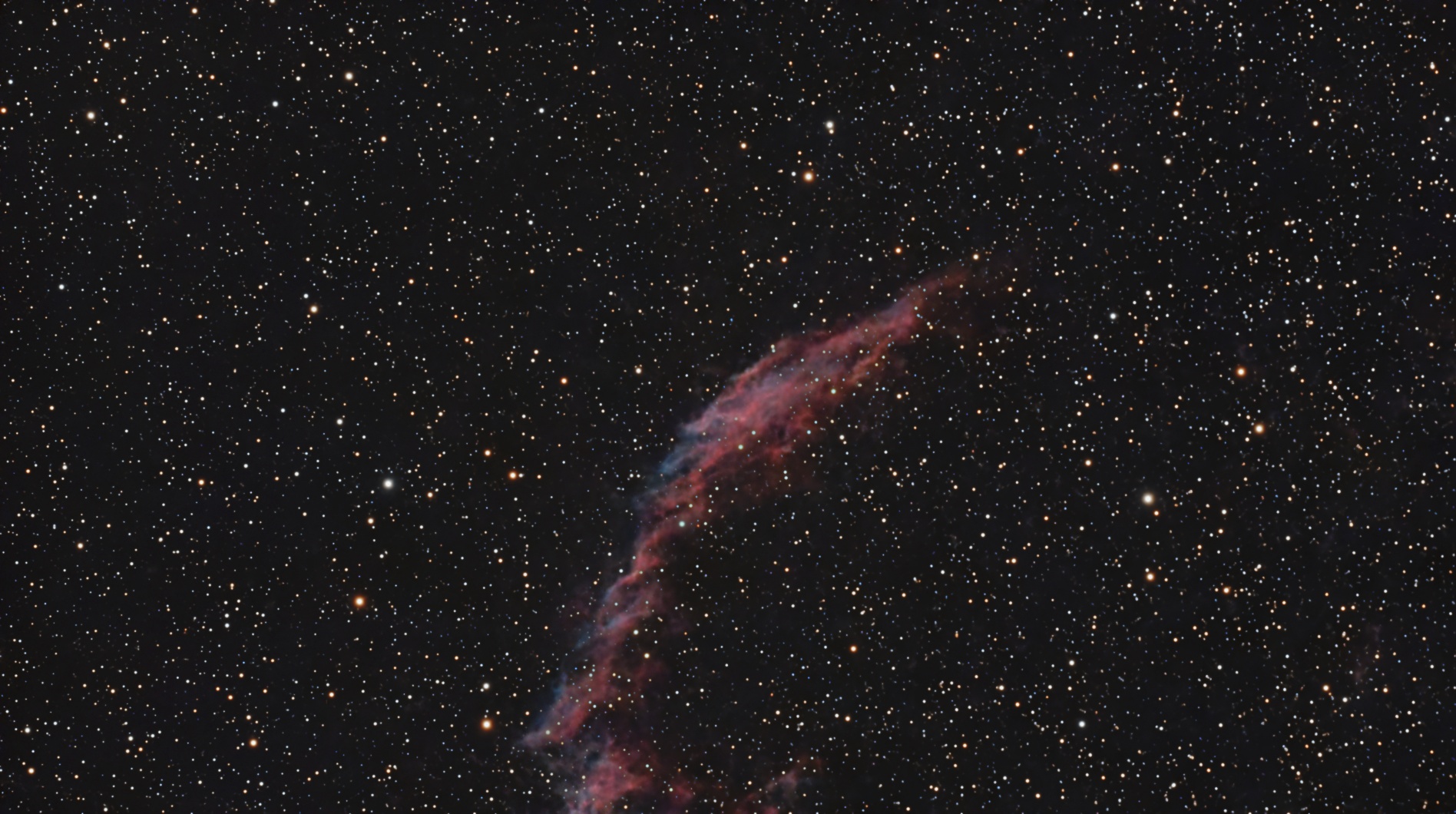 C33