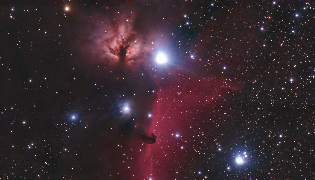 Horsehead & Flame Nebulae