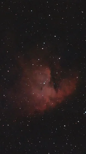 Pac-Man