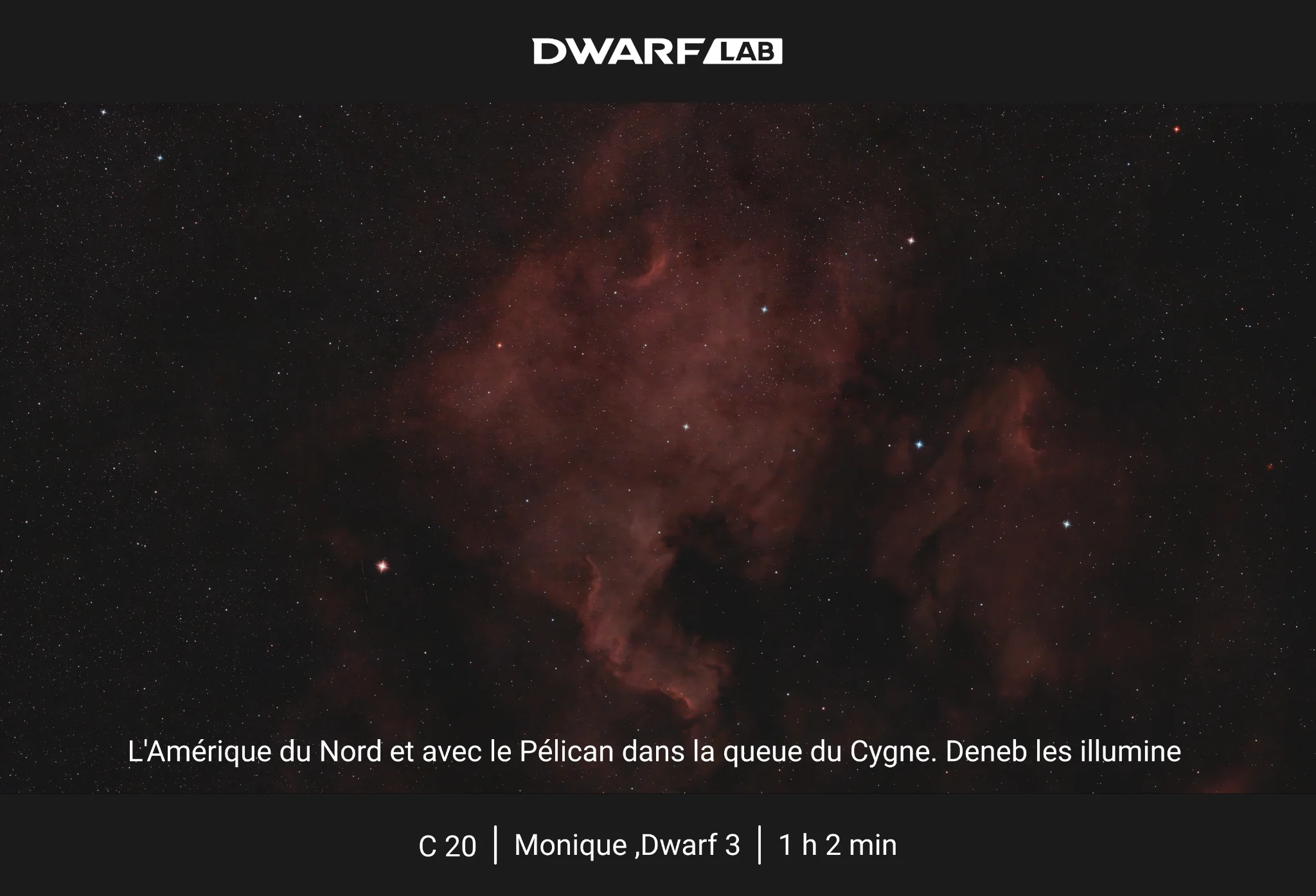 Amérique du Nord et Pélican