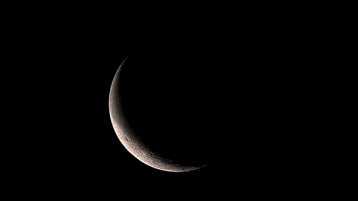Sliver