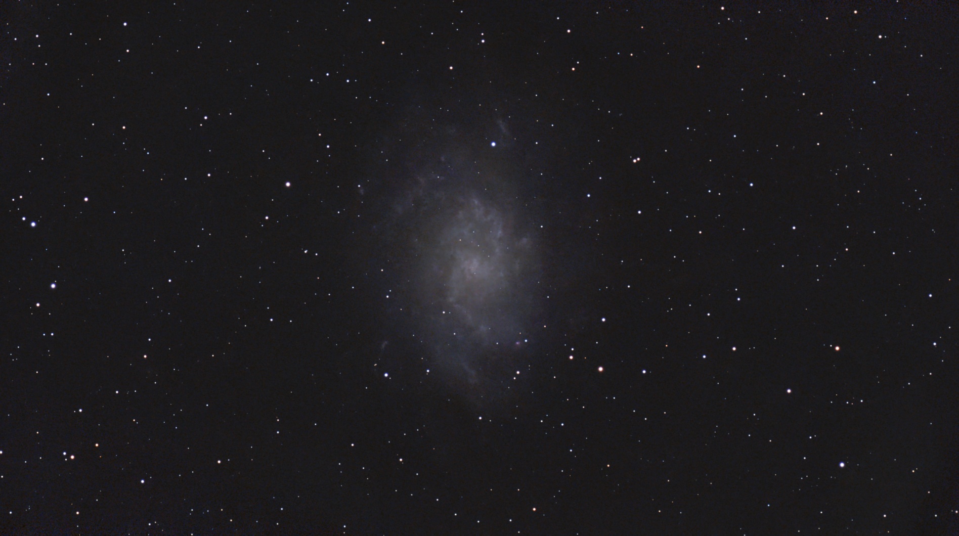 M33