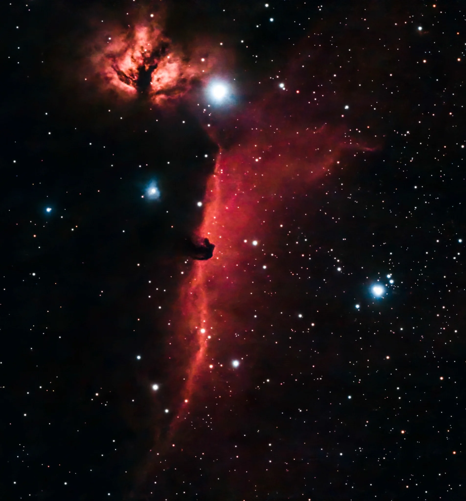 Horsehead and Flame Nebulae with Dwarf III