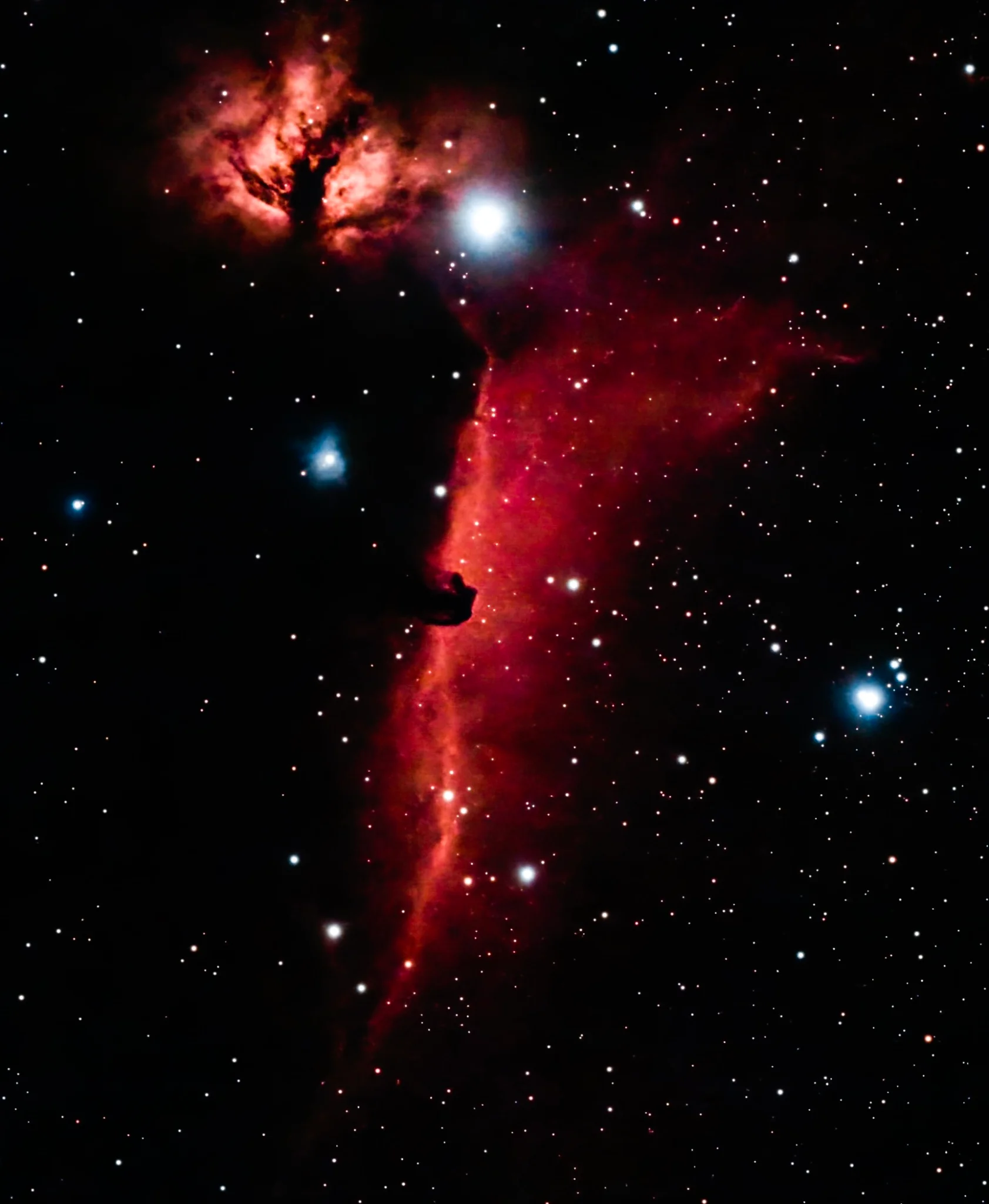 Horsehead and Flame Nebulae ON FIRE