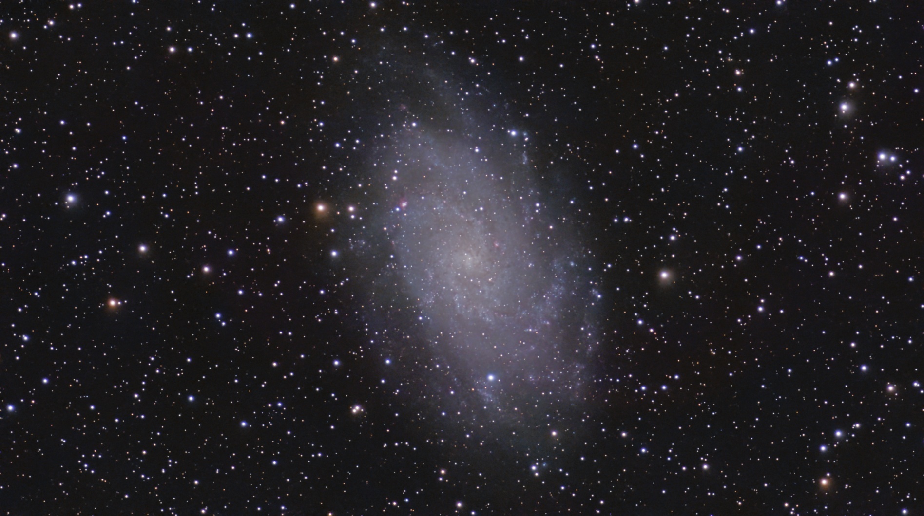 M33