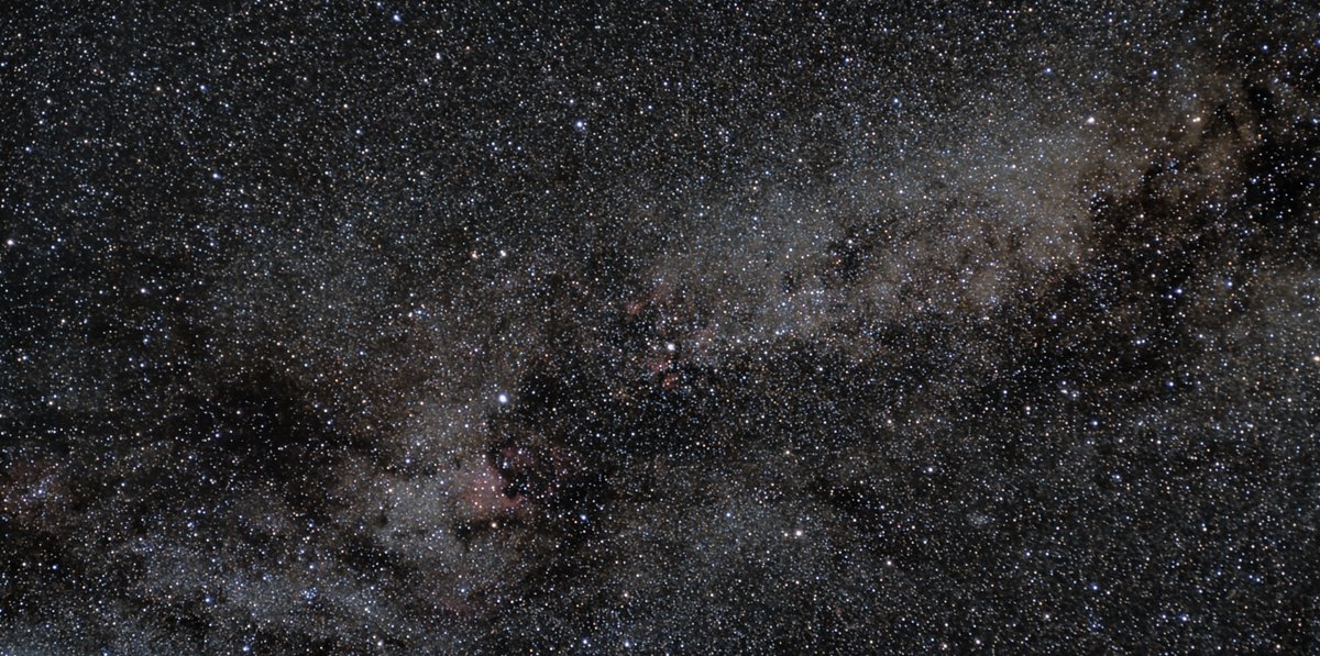 Constellation Cygnus