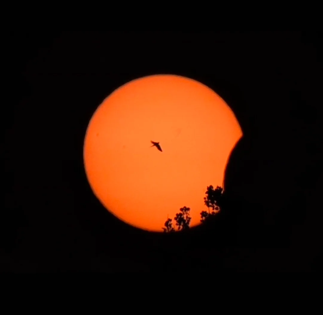 Solar eclipse