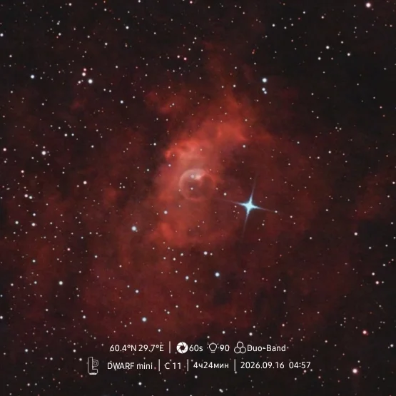 C11 The Bubble Nebula