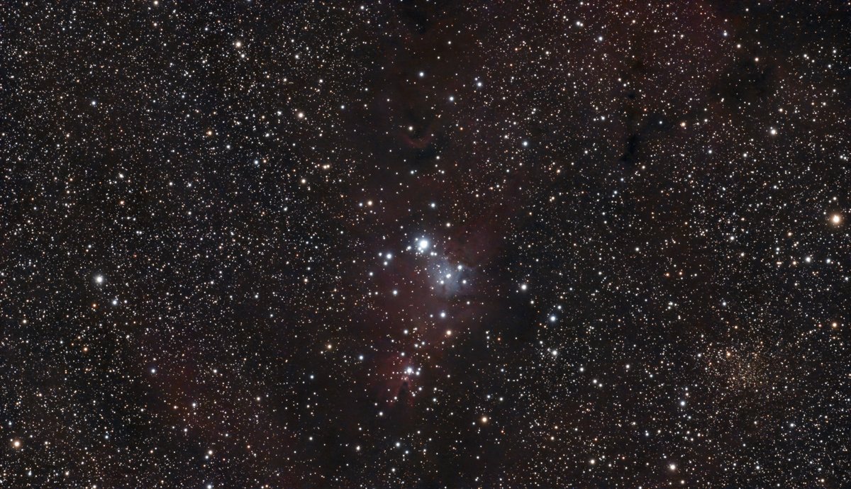 NGC 2264