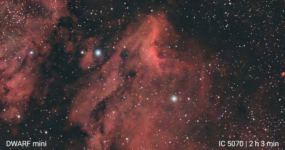 IC 5070-Pelican Nebula