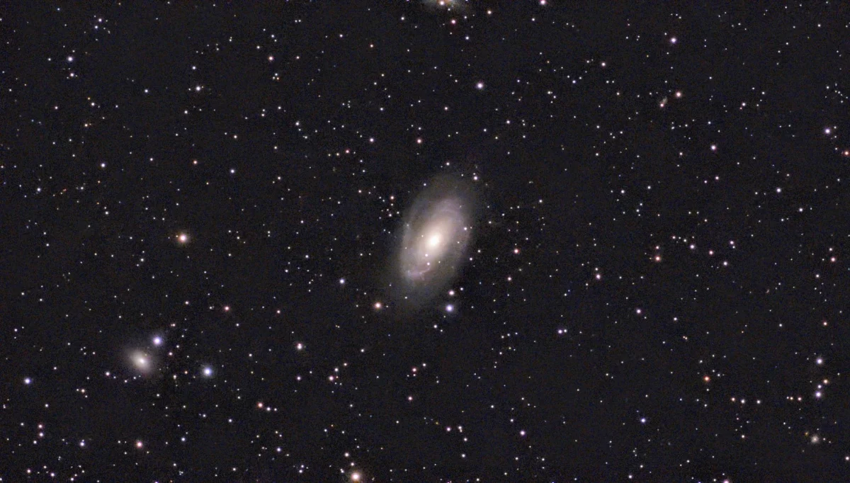 M81