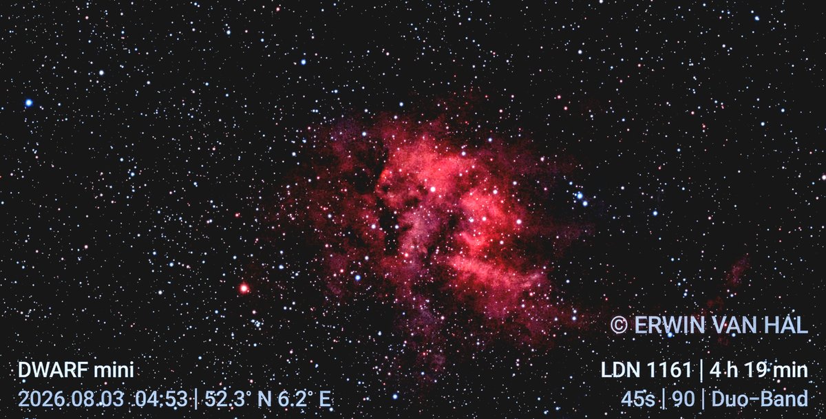 Lion Nebula