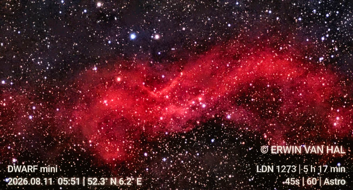 LDN 1273