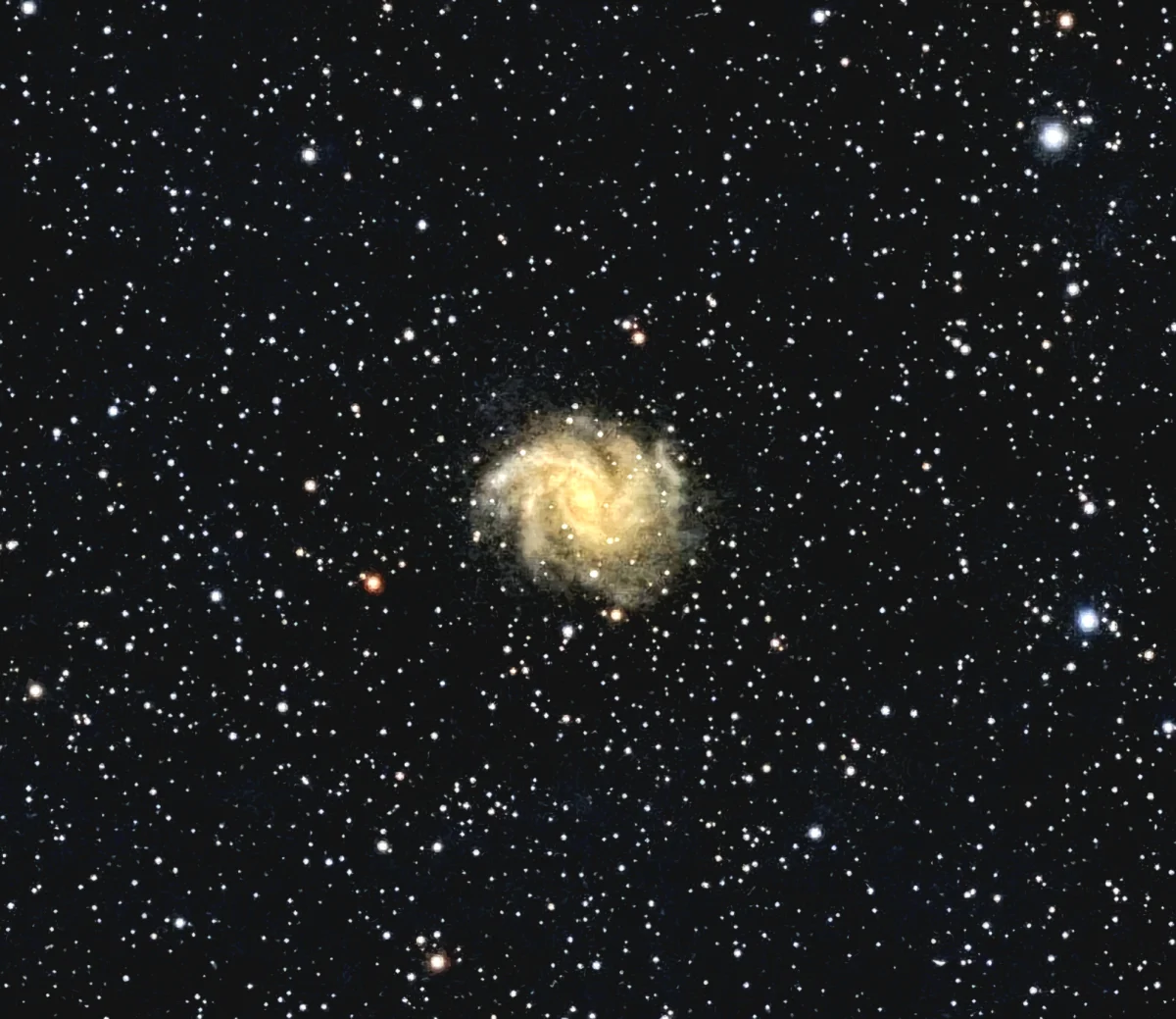 C12 the Fireworks Galaxy