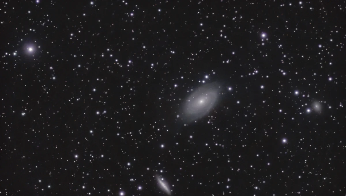 M81