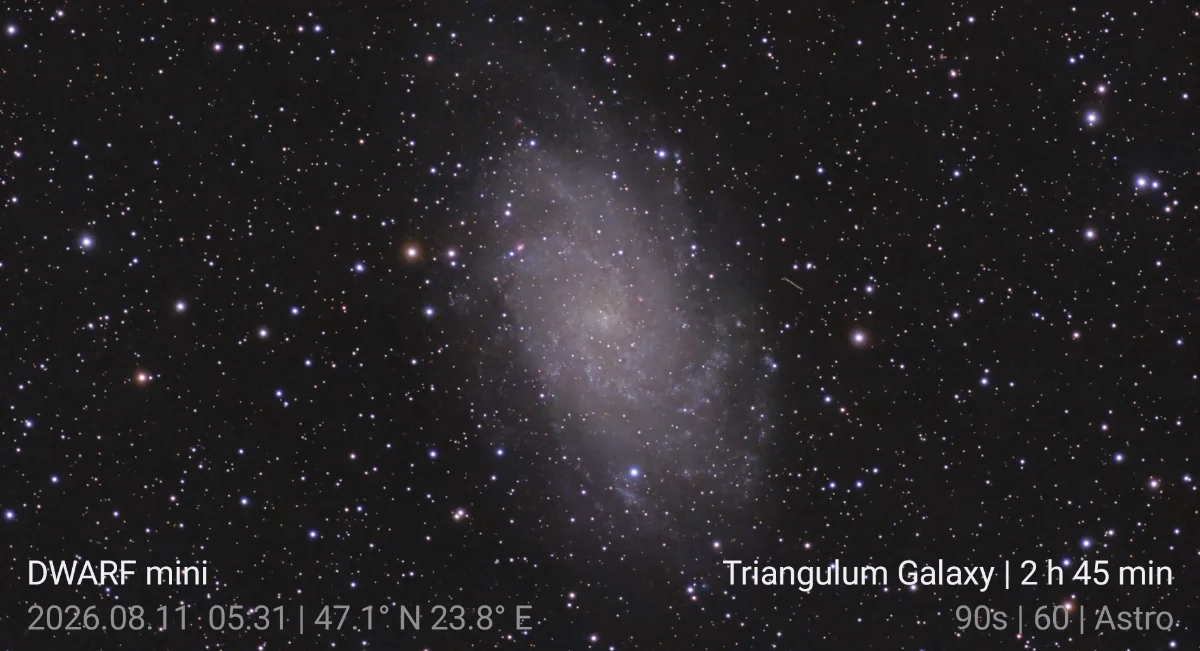 Triangulum Galaxy Dwarf Mini