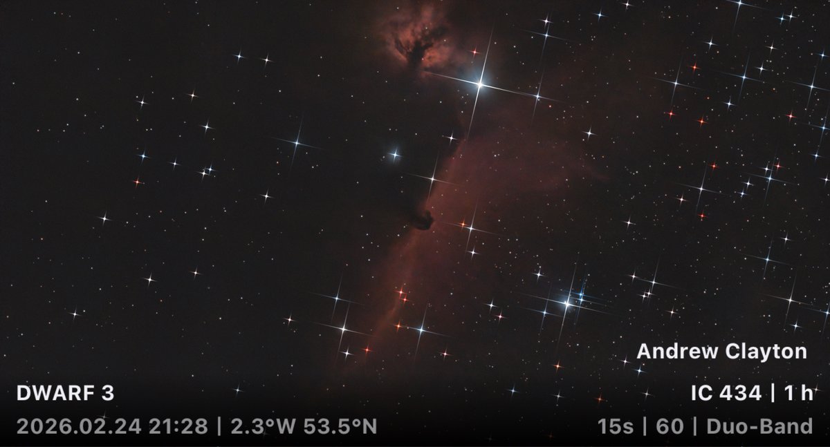 The Horse Head Nebula
