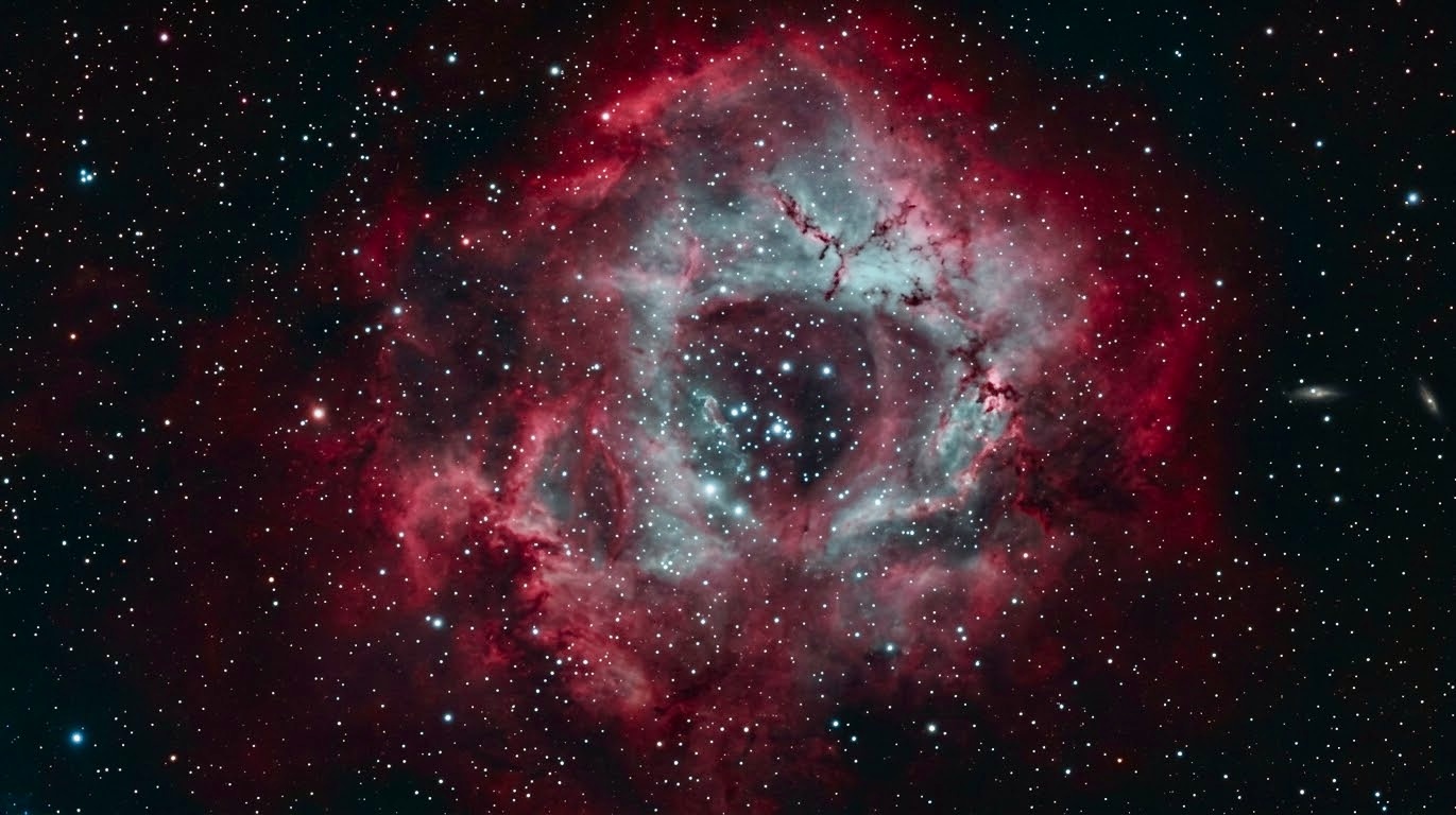 Rosette
