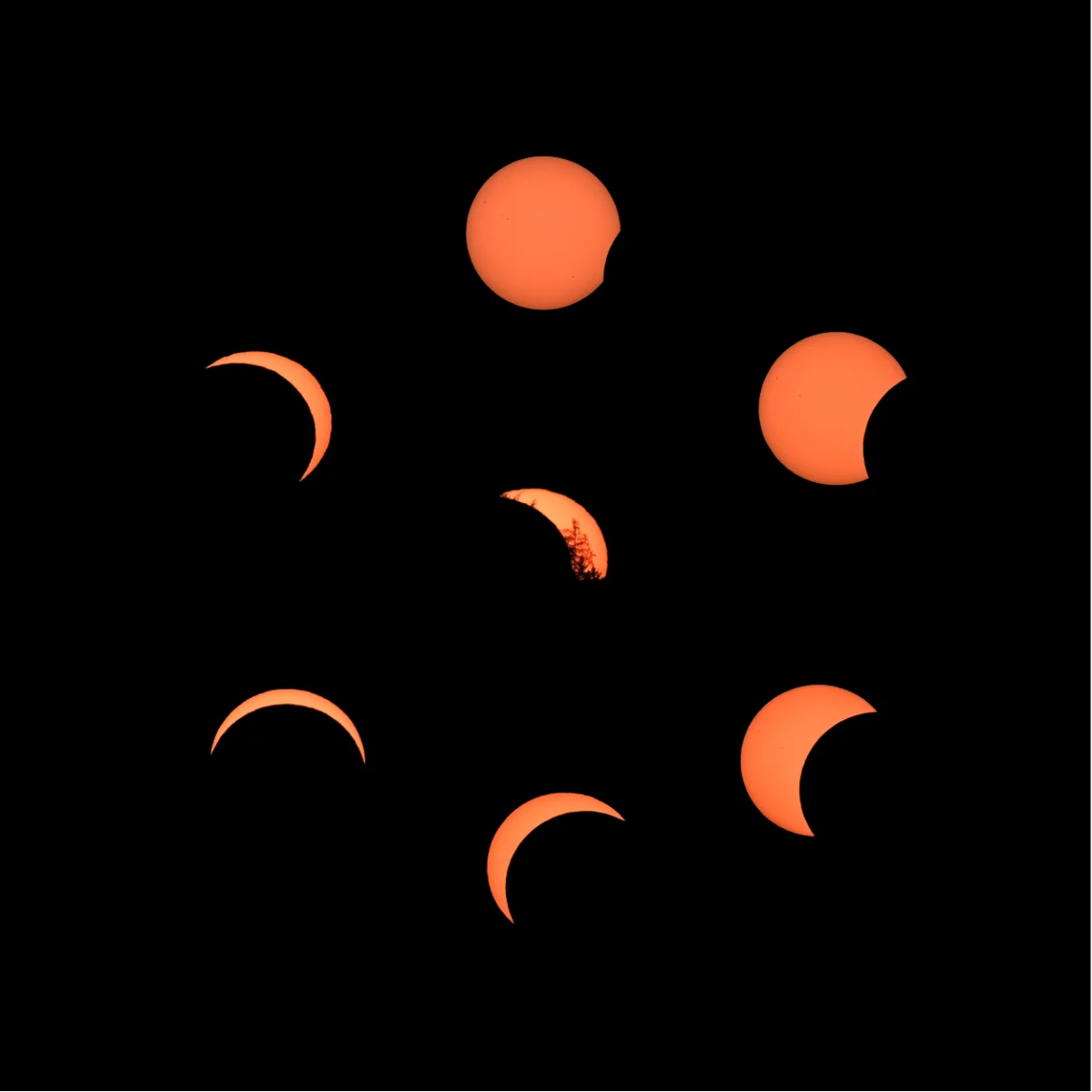 Partial Solar Eclipse