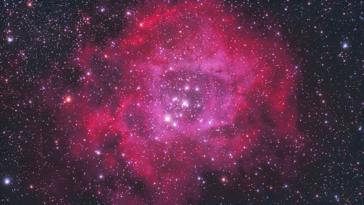 C49 Rosette Nebula