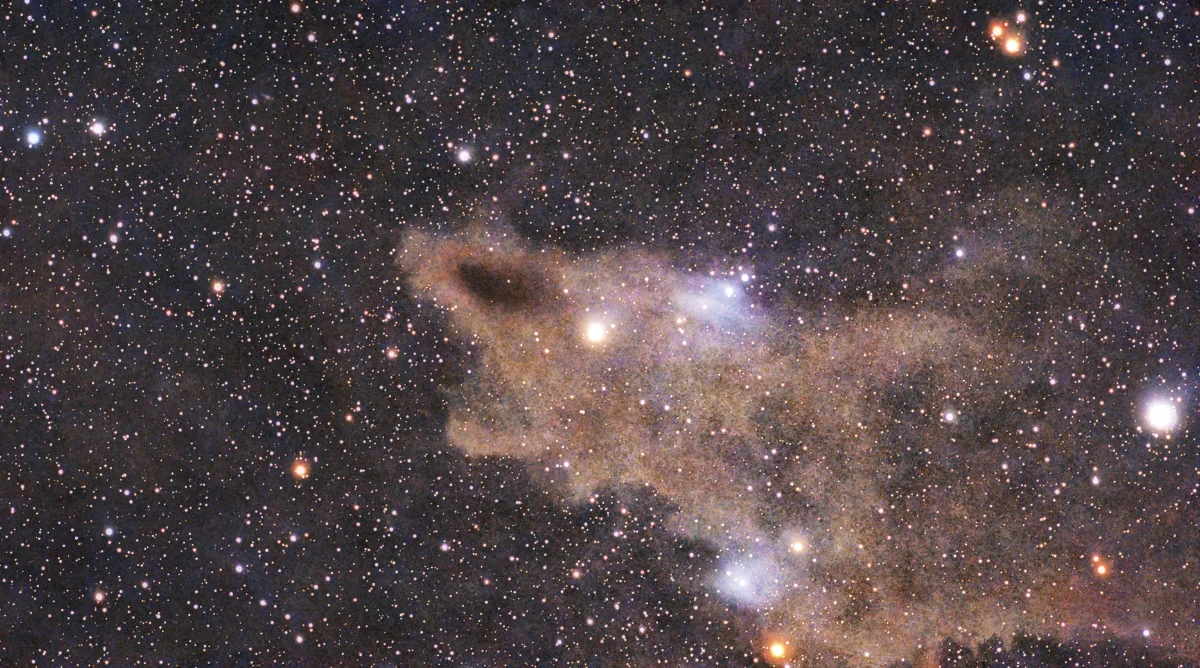 LDN 1235 Dark Shark Nebula