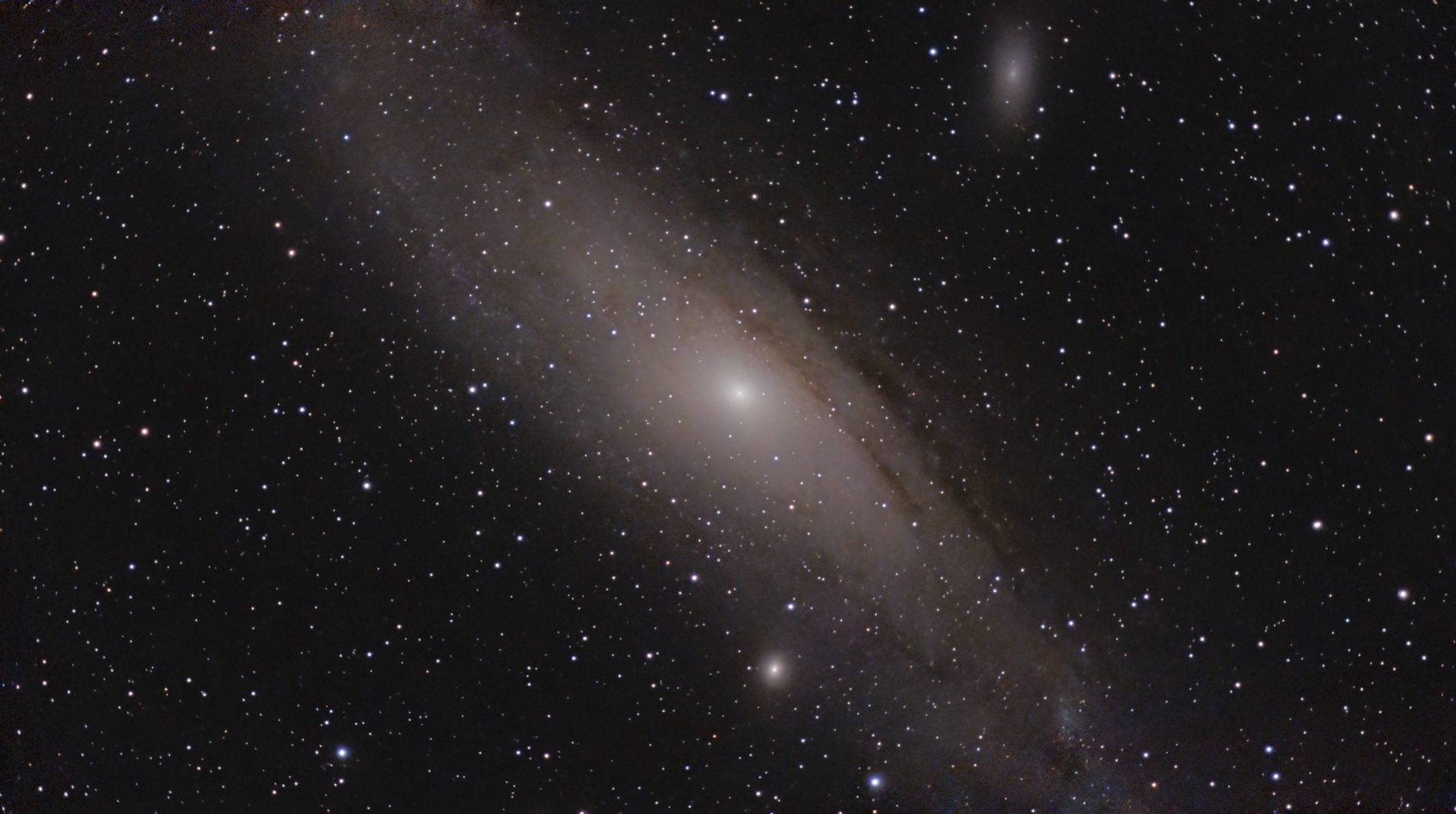 M31