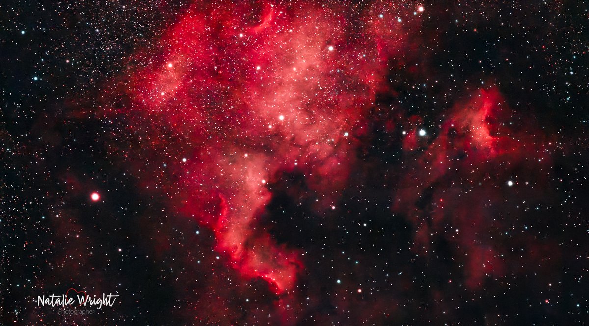 NGC 7000 and IC 5070