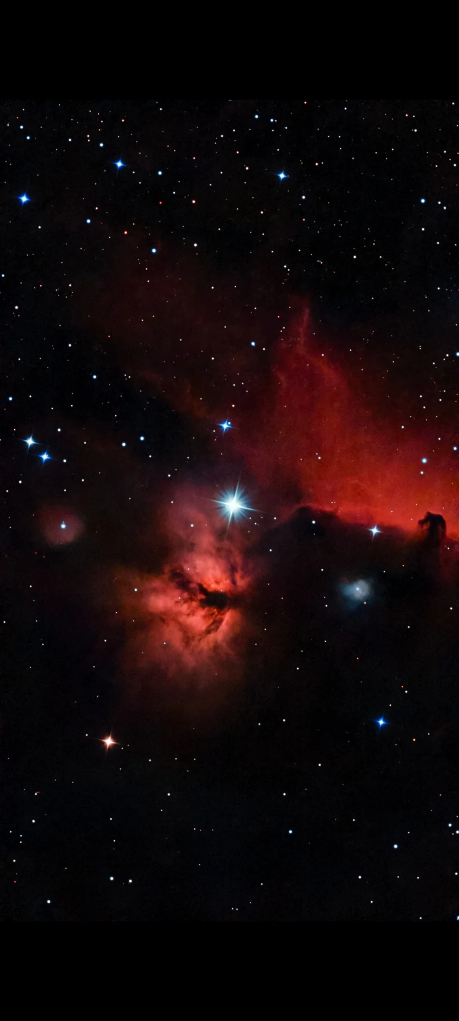 IC434 Cabeza de caballo