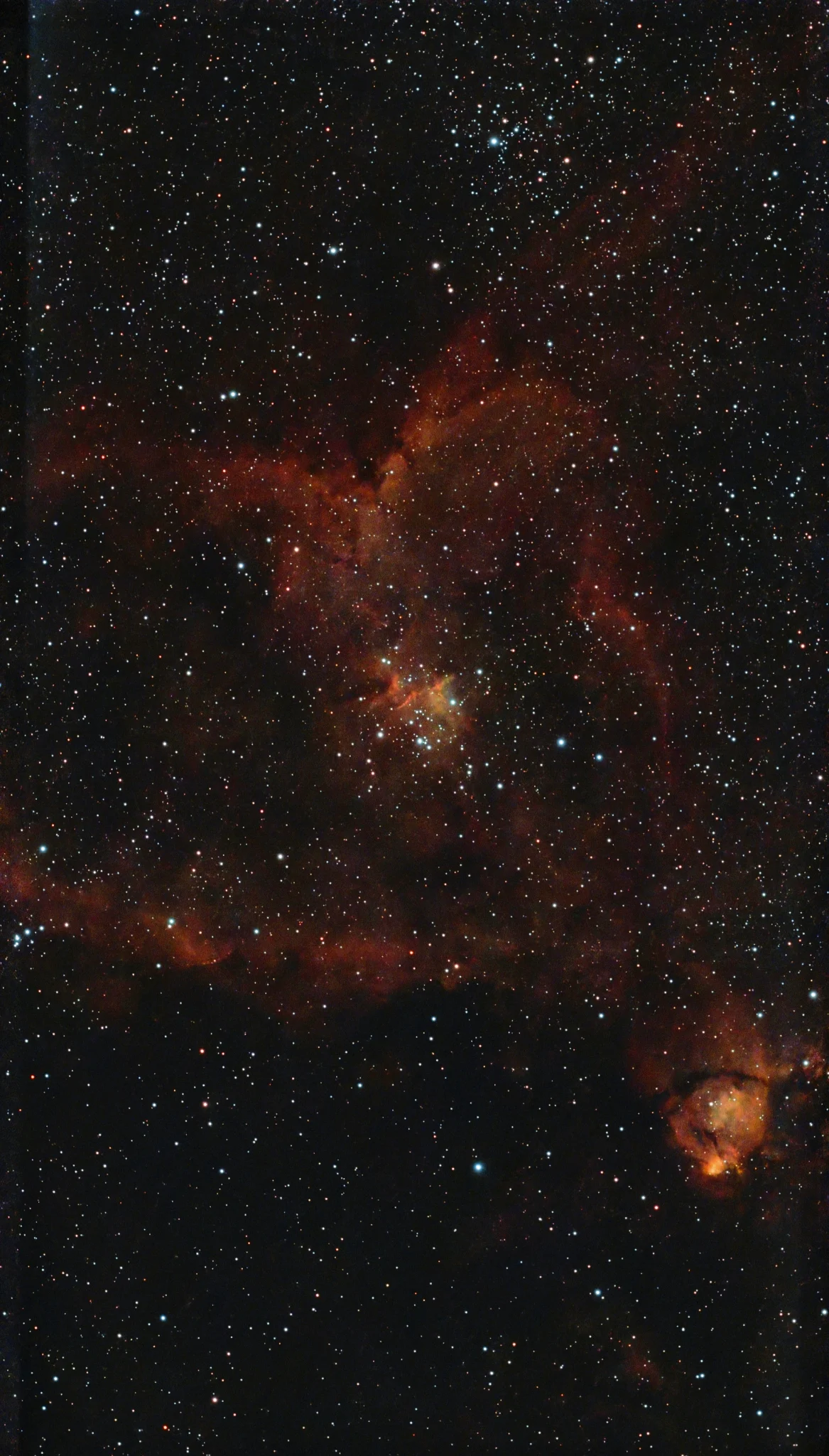 Herznebel NGC896