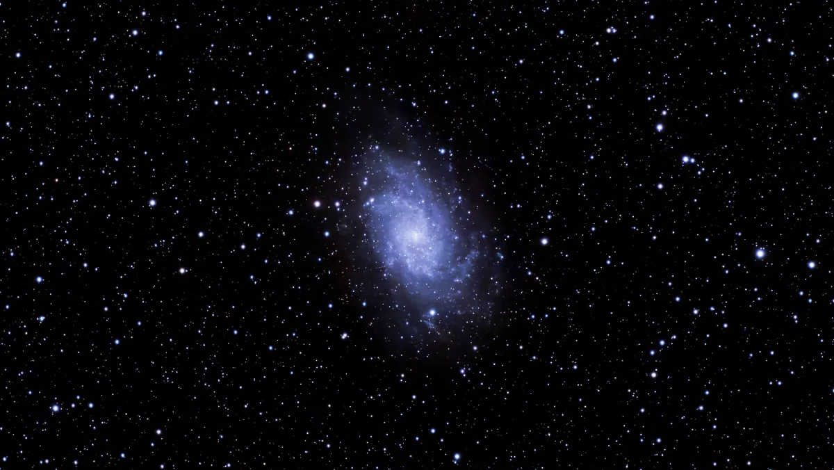 M33