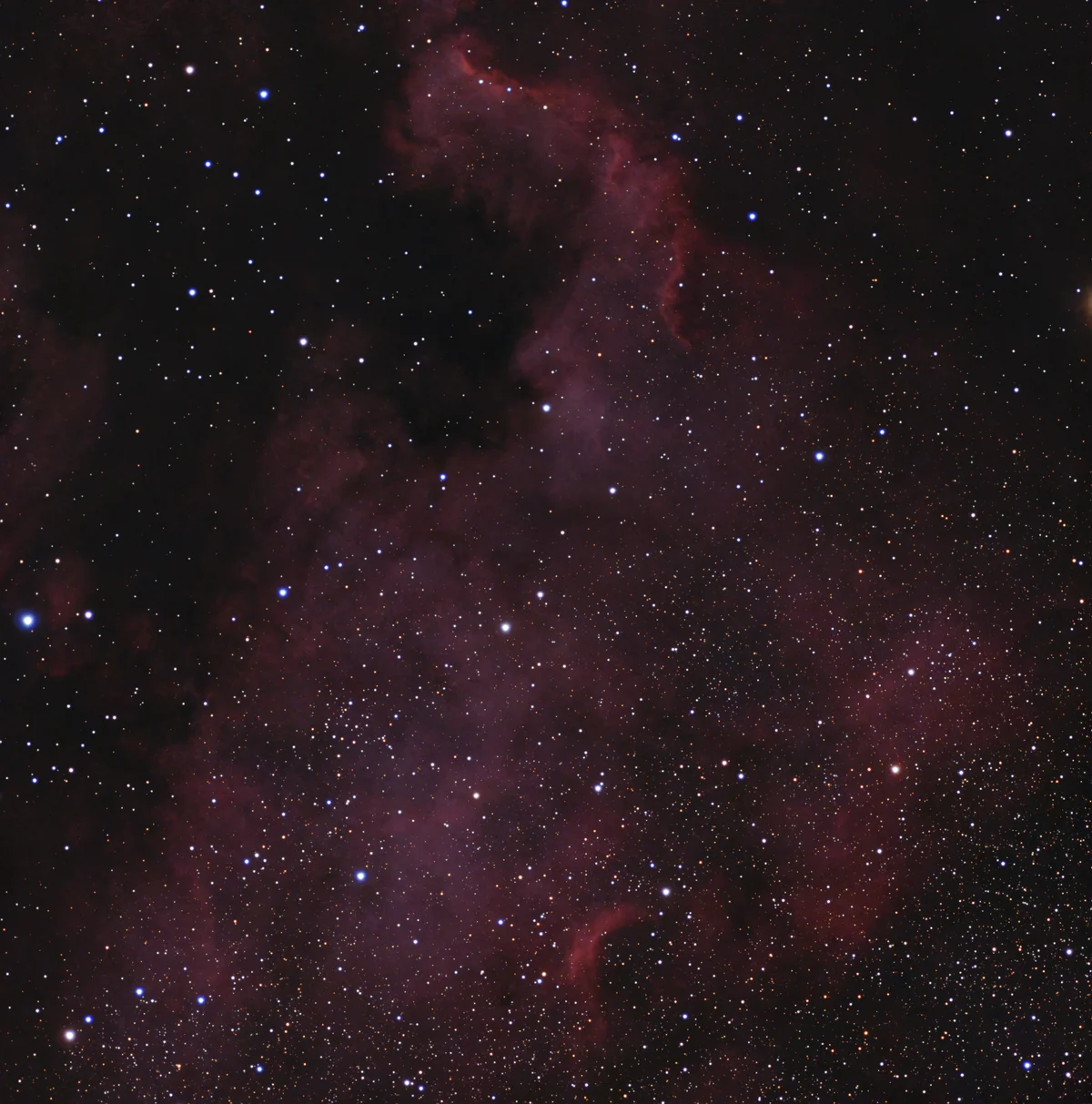North America Nebula tonight