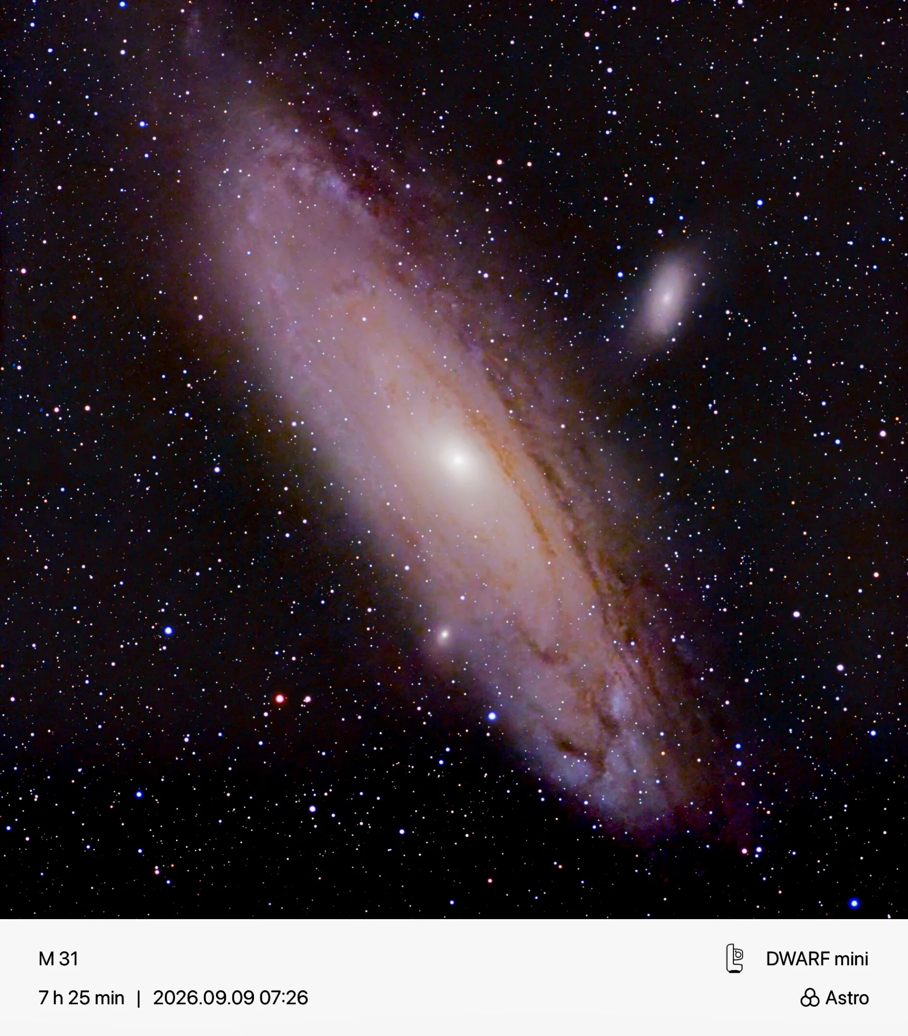 M31