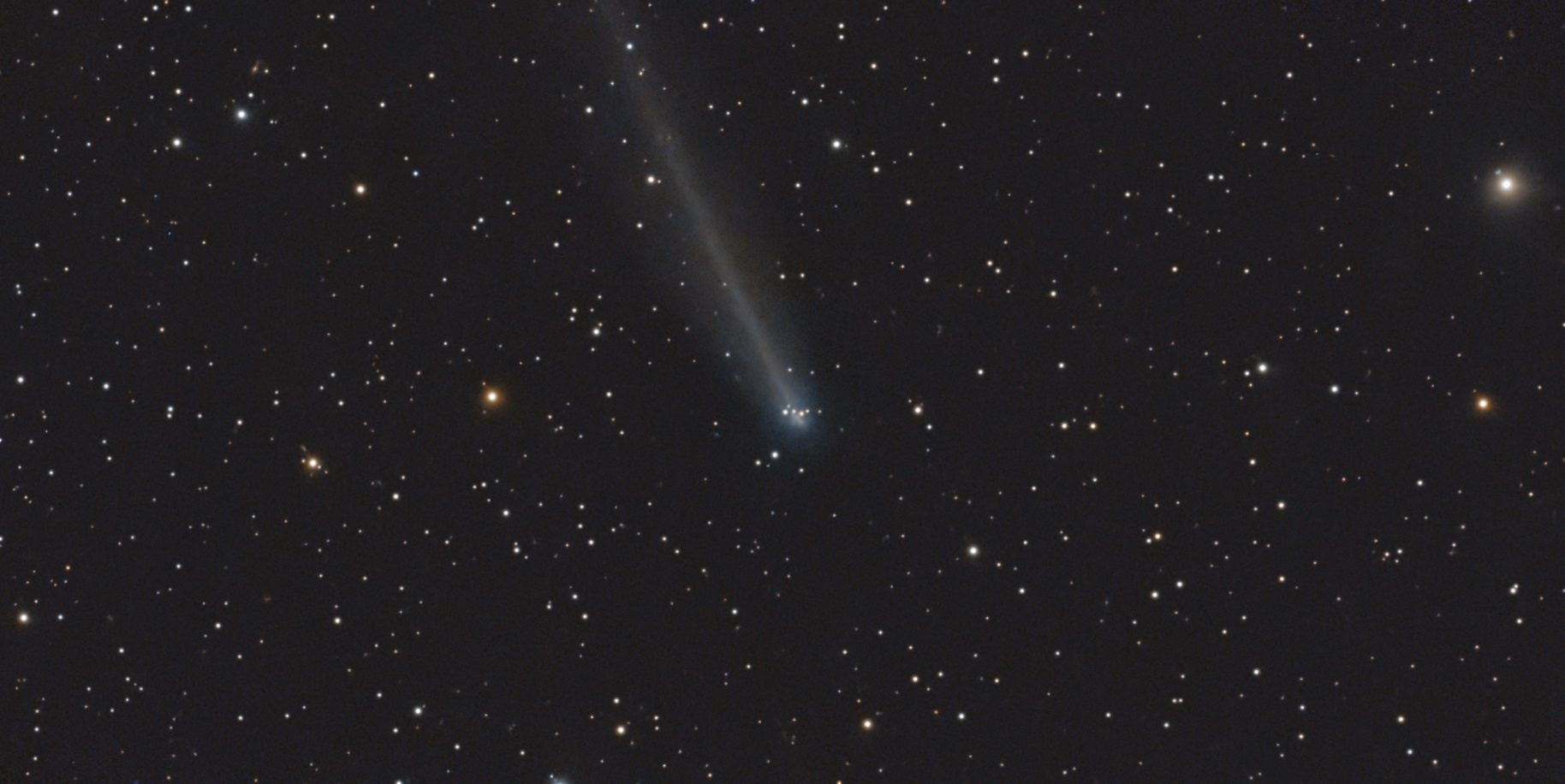 Comet 220P McNaught