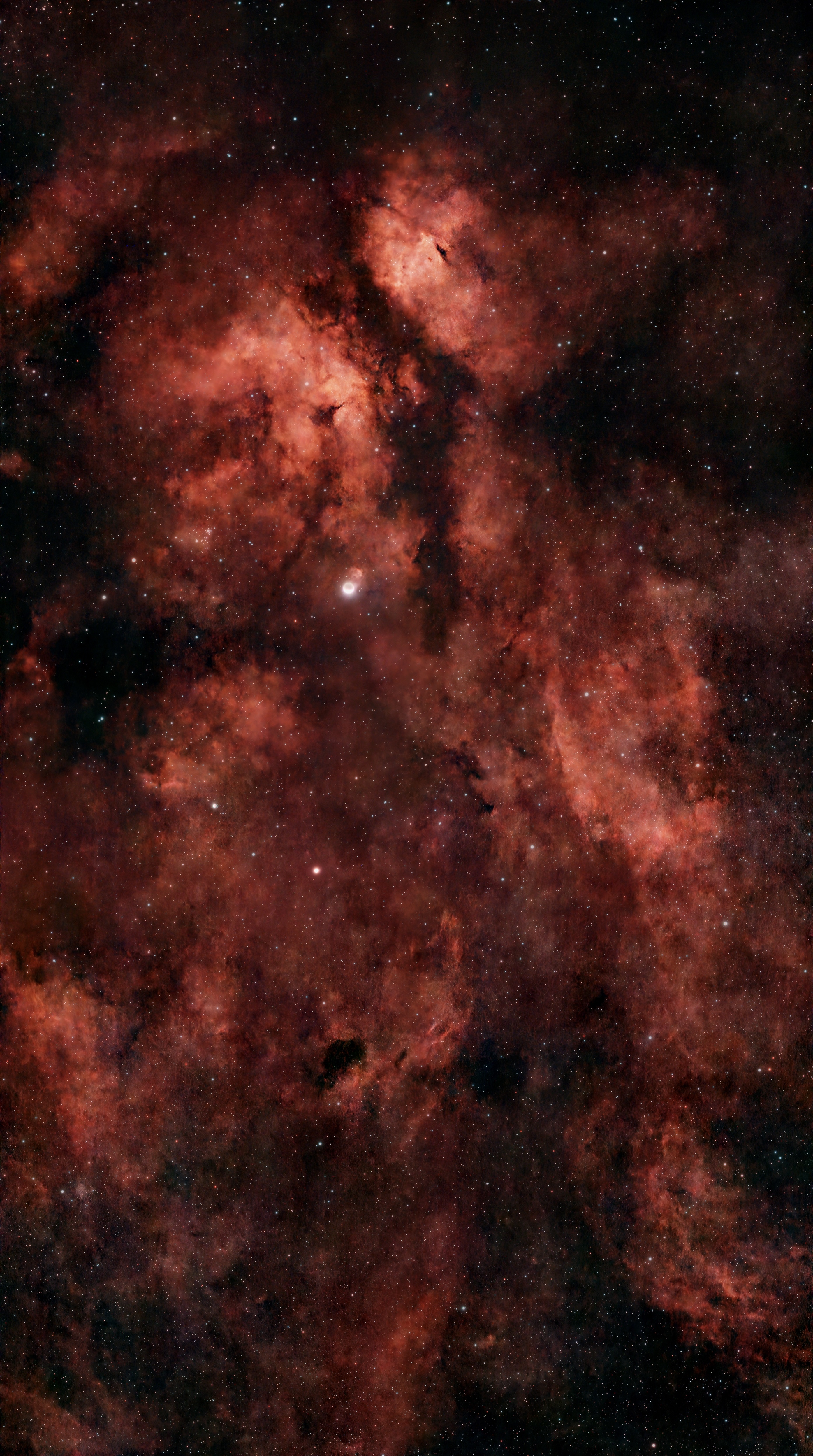 Butterfly nebula mosaic