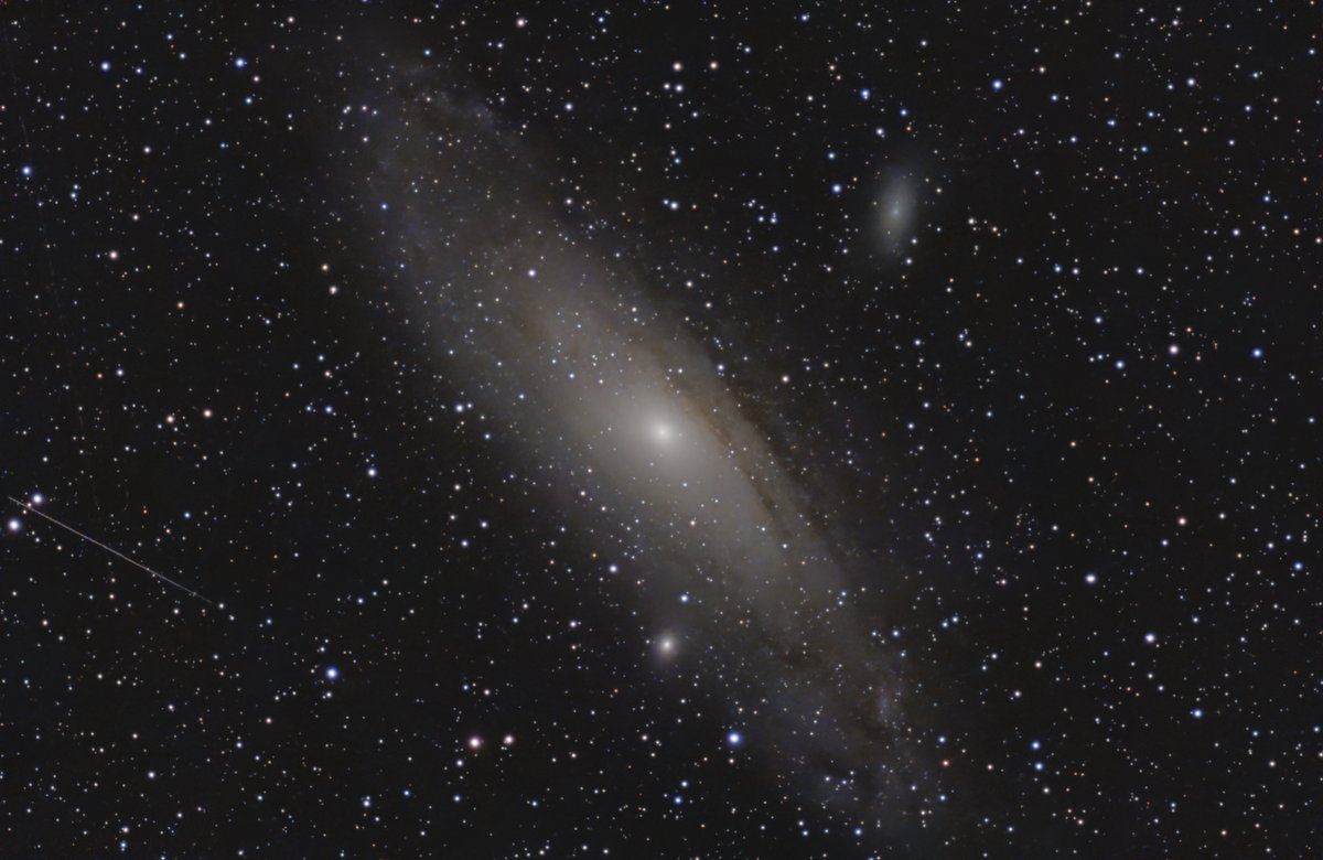 M 31