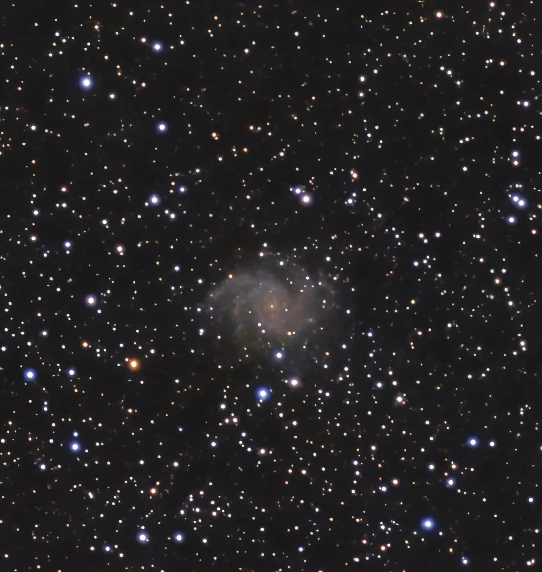 C12