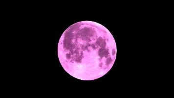 Harvest Moon