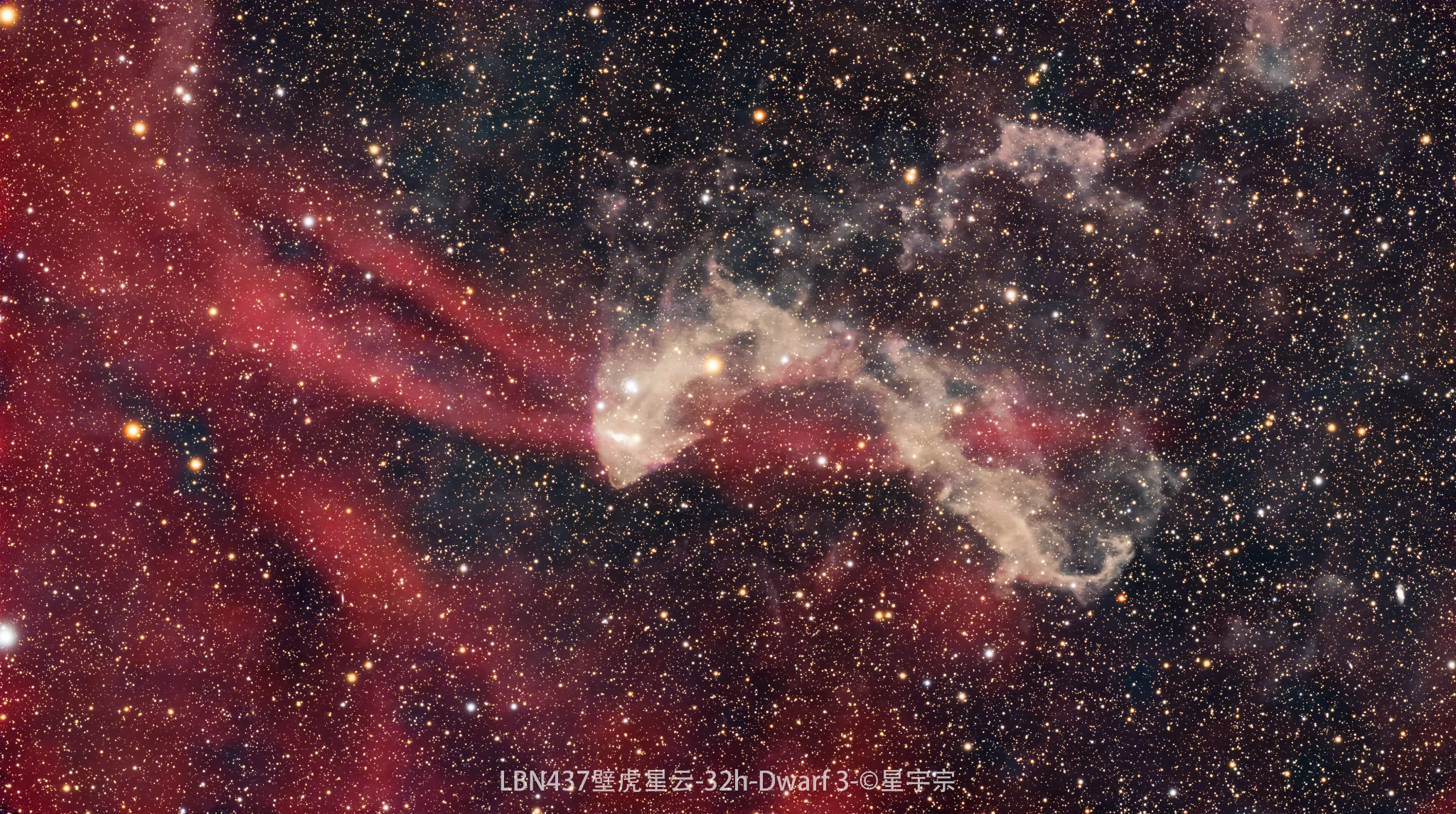 LBN437壁虎星云