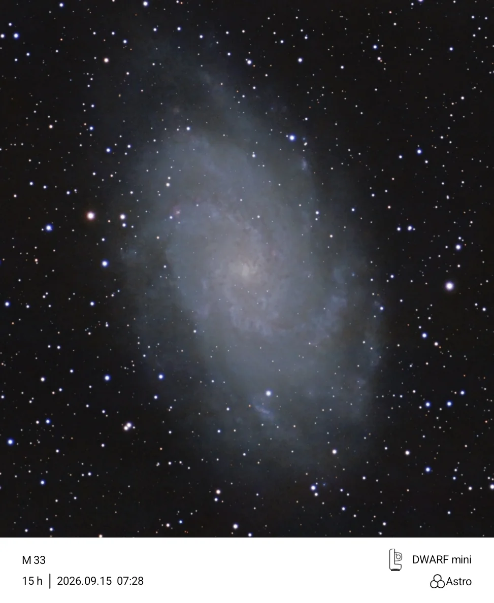 Triangulum galaxy
