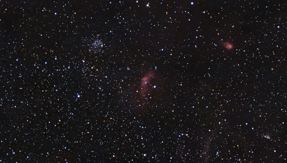 C11