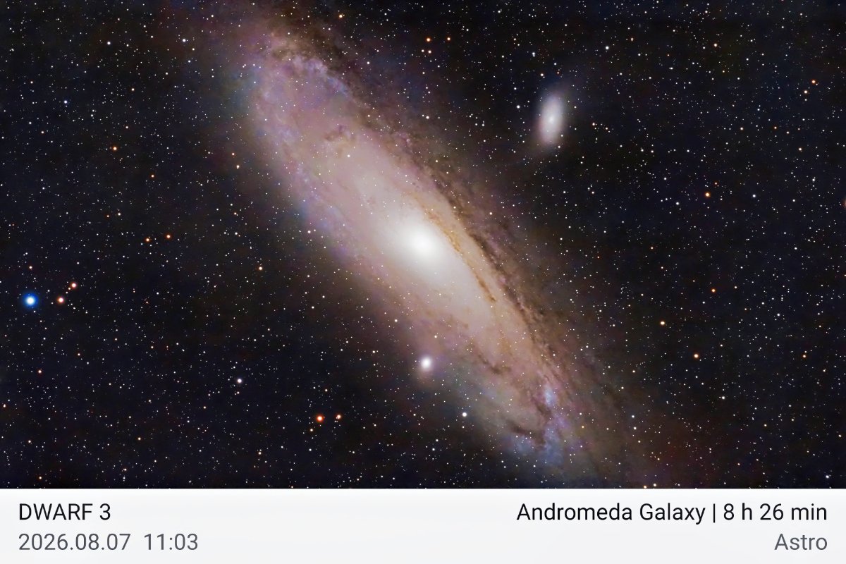 M31